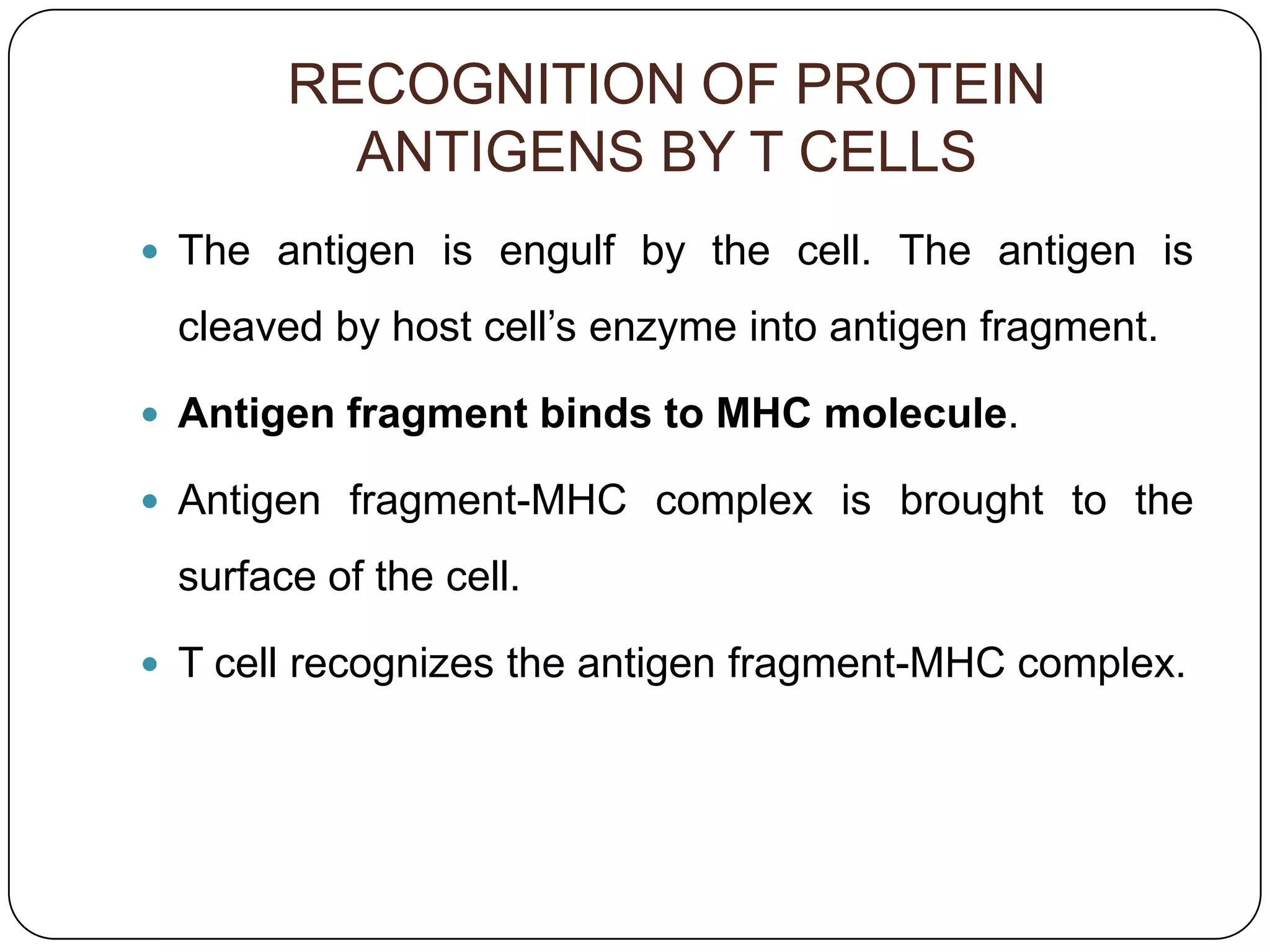 RECOGNITION OF PROTEIN
         ANTIGENS BY T CELLS
 The antigen is engulf by the cell. The antigen is

 cleaved by host cell’s enzyme into antigen fragment.

 Antigen fragment binds to MHC molecule.

 Antigen fragment-MHC complex is brought to the

 surface of the cell.

 T cell recognizes the antigen fragment-MHC complex.
 