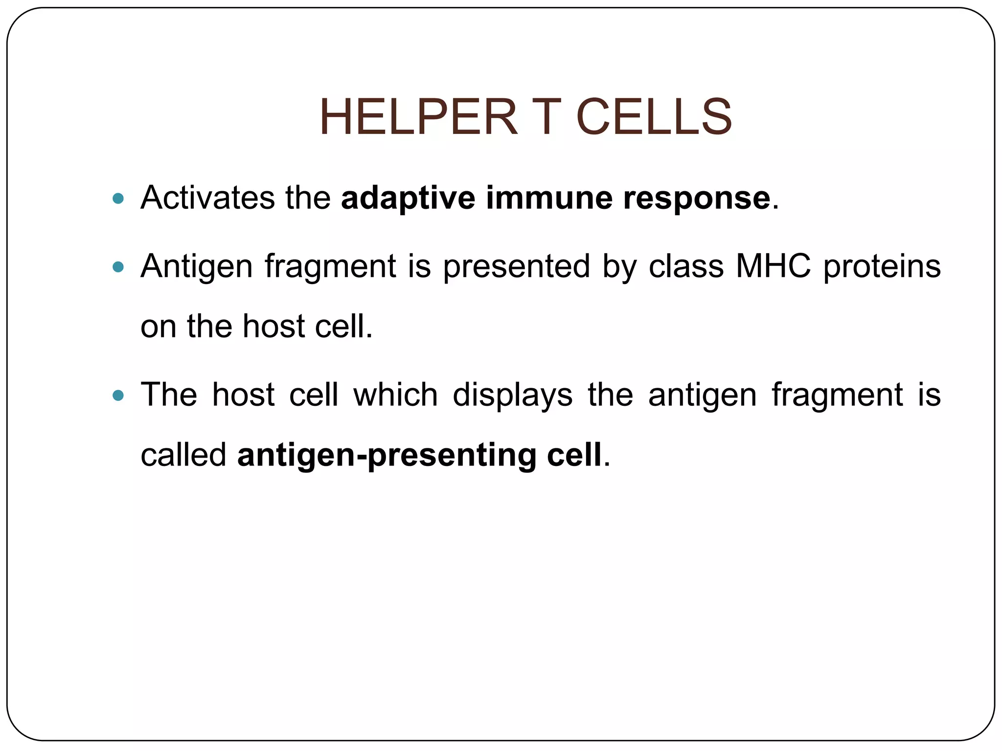 HELPER T CELLS
 Activates the adaptive immune response.

 Antigen fragment is presented by class MHC proteins

 on the host cell.

 The host cell which displays the antigen fragment is

 called antigen-presenting cell.
 