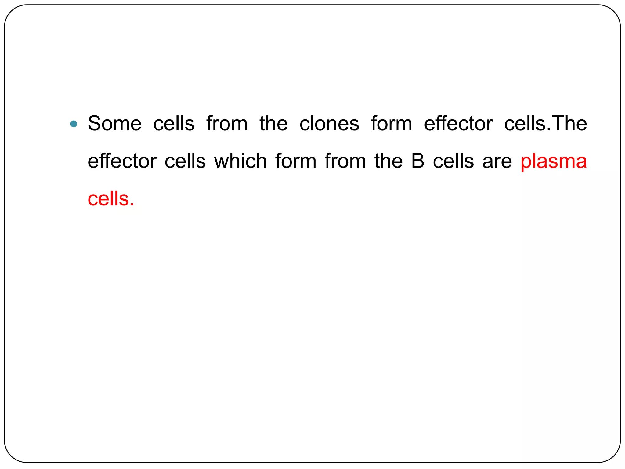  Some cells from the clones form effector cells.The

 effector cells which form from the B cells are plasma
 cells.
 