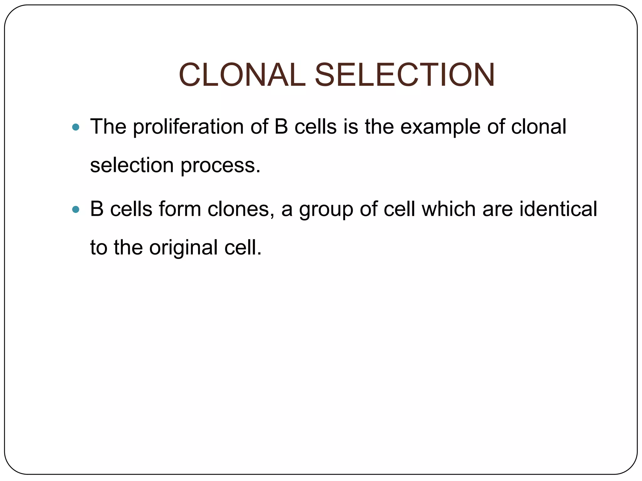 CLONAL SELECTION
 The proliferation of B cells is the example of clonal

  selection process.

 B cells form clones, a group of cell which are identical

  to the original cell.
 