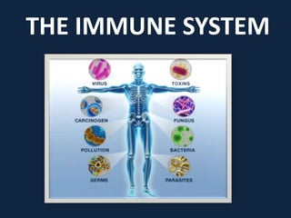The Immune system | PPTX