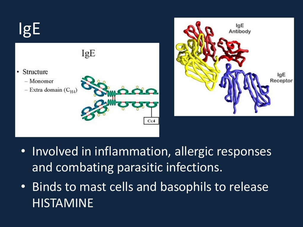 The Immune system
