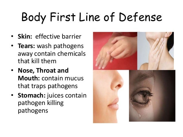 Immune system