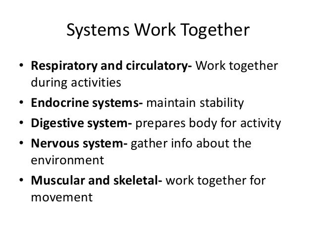 Immune system