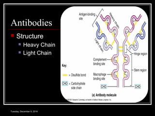 Antibodies 
 Structure 
 Heavy Chain 
 Light Chain 
Tuesday, December 9, 2014 
 