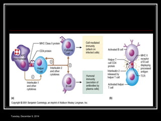 Tuesday, December 9, 2014 
 