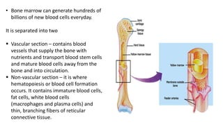 Immune system | PPTX