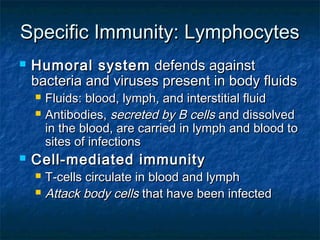 Specific Immunity: LymphocytesSpecific Immunity: Lymphocytes
 Humoral systemHumoral system defends againstdefends against
bacteria and viruses present in body fluidsbacteria and viruses present in body fluids
 Fluids: blood, lymph, and interstitial fluidFluids: blood, lymph, and interstitial fluid
 Antibodies,Antibodies, secreted by B cellssecreted by B cells and dissolvedand dissolved
in the blood, are carried in lymph and blood toin the blood, are carried in lymph and blood to
sites of infectionssites of infections
 Cell-mediated immunityCell-mediated immunity
 T-cells circulate in blood and lymphT-cells circulate in blood and lymph
 Attack body cellsAttack body cells that have been infectedthat have been infected
 