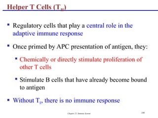 Chapter 21, Immune System 100
 Regulatory cells that play a central role in the
adaptive immune response
 Once primed by APC presentation of antigen, they:
 Chemically or directly stimulate proliferation of
other T cells
 Stimulate B cells that have already become bound
to antigen
 Without TH, there is no immune response
Helper T Cells (TH)
 