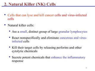 11
2. Natural Killer (NK) Cells
 Cells that can lyse and kill cancer cells and virus-infected
cells
 Natural killer cells:
 Are a small, distinct group of large granular lymphocytes
 React nonspecifically and eliminate cancerous and virus-
infected cells
 Kill their target cells by releasing perforins and other
cytolytic chemicals
 Secrete potent chemicals that enhance the inflammatory
response
 