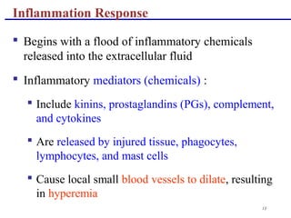 13
Inflammation Response
 Begins with a flood of inflammatory chemicals
released into the extracellular fluid
 Inflammatory mediators (chemicals) :
 Include kinins, prostaglandins (PGs), complement,
and cytokines
 Are released by injured tissue, phagocytes,
lymphocytes, and mast cells
 Cause local small blood vessels to dilate, resulting
in hyperemia
 
