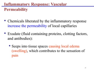 15
Inflammatory Response: Vascular
Permeability
 Chemicals liberated by the inflammatory response
increase the permeability of local capillaries
 Exudate (fluid containing proteins, clotting factors,
and antibodies):
 Seeps into tissue spaces causing local edema
(swelling), which contributes to the sensation of
pain
 