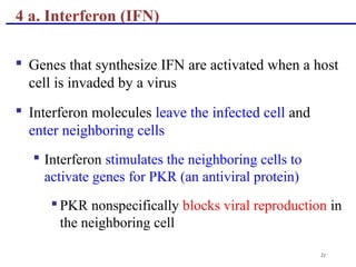 21
 Genes that synthesize IFN are activated when a host
cell is invaded by a virus
 Interferon molecules leave the infected cell and
enter neighboring cells
 Interferon stimulates the neighboring cells to
activate genes for PKR (an antiviral protein)
 PKR nonspecifically blocks viral reproduction in
the neighboring cell
4 a. Interferon (IFN)
 