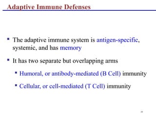 34
 The adaptive immune system is antigen-specific,
systemic, and has memory
 It has two separate but overlapping arms
 Humoral, or antibody-mediated (B Cell) immunity
 Cellular, or cell-mediated (T Cell) immunity
Adaptive Immune Defenses
 