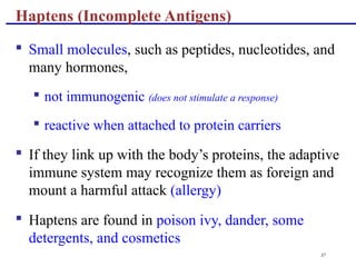 37
 Small molecules, such as peptides, nucleotides, and
many hormones,
 not immunogenic (does not stimulate a response)
 reactive when attached to protein carriers
 If they link up with the body’s proteins, the adaptive
immune system may recognize them as foreign and
mount a harmful attack (allergy)
 Haptens are found in poison ivy, dander, some
detergents, and cosmetics
Haptens (Incomplete Antigens)
 