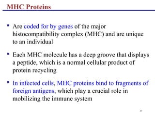 41
 Are coded for by genes of the major
histocompatibility complex (MHC) and are unique
to an individual
 Each MHC molecule has a deep groove that displays
a peptide, which is a normal cellular product of
protein recycling
 In infected cells, MHC proteins bind to fragments of
foreign antigens, which play a crucial role in
mobilizing the immune system
MHC Proteins
 