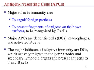 49
 Major roles in immunity are:
 To engulf foreign particles
 To present fragments of antigens on their own
surfaces, to be recognized by T cells
 Major APCs are dendritic cells (DCs), macrophages,
and activated B cells
 The major initiators of adaptive immunity are DCs,
which actively migrate to the lymph nodes and
secondary lymphoid organs and present antigens to
T and B cells
Antigen-Presenting Cells (APCs)
 