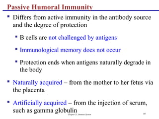 Chapter 21, Immune System 60
 Differs from active immunity in the antibody source
and the degree of protection
 B cells are not challenged by antigens
 Immunological memory does not occur
 Protection ends when antigens naturally degrade in
the body
 Naturally acquired – from the mother to her fetus via
the placenta
 Artificially acquired – from the injection of serum,
such as gamma globulin
Passive Humoral Immunity
 