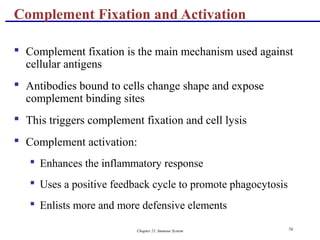 Chapter 21, Immune System 70
 Complement fixation is the main mechanism used against
cellular antigens
 Antibodies bound to cells change shape and expose
complement binding sites
 This triggers complement fixation and cell lysis
 Complement activation:
 Enhances the inflammatory response
 Uses a positive feedback cycle to promote phagocytosis
 Enlists more and more defensive elements
Complement Fixation and Activation
 