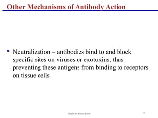 Chapter 21, Immune System 71
 Neutralization – antibodies bind to and block
specific sites on viruses or exotoxins, thus
preventing these antigens from binding to receptors
on tissue cells
Other Mechanisms of Antibody Action
 