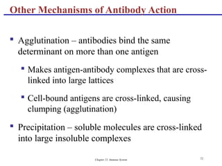 Chapter 21, Immune System 72
 Agglutination – antibodies bind the same
determinant on more than one antigen
 Makes antigen-antibody complexes that are cross-
linked into large lattices
 Cell-bound antigens are cross-linked, causing
clumping (agglutination)
 Precipitation – soluble molecules are cross-linked
into large insoluble complexes
Other Mechanisms of Antibody Action
 