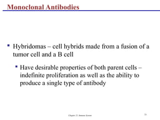 Chapter 21, Immune System 75
 Hybridomas – cell hybrids made from a fusion of a
tumor cell and a B cell
 Have desirable properties of both parent cells –
indefinite proliferation as well as the ability to
produce a single type of antibody
Monoclonal Antibodies
 