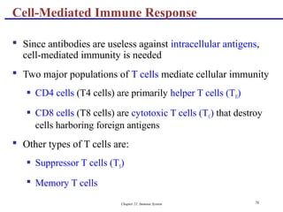Chapter 21, Immune System 76
 Since antibodies are useless against intracellular antigens,
cell-mediated immunity is needed
 Two major populations of T cells mediate cellular immunity
 CD4 cells (T4 cells) are primarily helper T cells (TH)
 CD8 cells (T8 cells) are cytotoxic T cells (TC) that destroy
cells harboring foreign antigens
 Other types of T cells are:
 Suppressor T cells (TS)
 Memory T cells
Cell-Mediated Immune Response
 