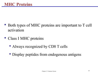 Chapter 21, Immune System 81
 Both types of MHC proteins are important to T cell
activation
 Class I MHC proteins
 Always recognized by CD8 T cells
 Display peptides from endogenous antigens
MHC Proteins
 