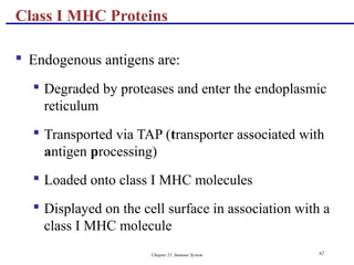 Chapter 21, Immune System 82
 Endogenous antigens are:
 Degraded by proteases and enter the endoplasmic
reticulum
 Transported via TAP (transporter associated with
antigen processing)
 Loaded onto class I MHC molecules
 Displayed on the cell surface in association with a
class I MHC molecule
Class I MHC Proteins
 