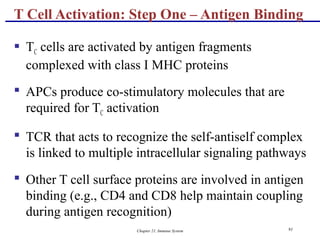 Chapter 21, Immune System 91
 TC cells are activated by antigen fragments
complexed with class I MHC proteins
 APCs produce co-stimulatory molecules that are
required for TC activation
 TCR that acts to recognize the self-antiself complex
is linked to multiple intracellular signaling pathways
 Other T cell surface proteins are involved in antigen
binding (e.g., CD4 and CD8 help maintain coupling
during antigen recognition)
T Cell Activation: Step One – Antigen Binding
 