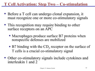 Chapter 21, Immune System 93
 Before a T cell can undergo clonal expansion, it
must recognize one or more co-stimulatory signals
 This recognition may require binding to other
surface receptors on an APC
 Macrophages produce surface B7 proteins when
nonspecific defenses are mobilized
 B7 binding with the CD28 receptor on the surface of
T cells is a crucial co-stimulatory signal
 Other co-stimulatory signals include cytokines and
interleukin 1 and 2
T Cell Activation: Step Two – Co-stimulation
 