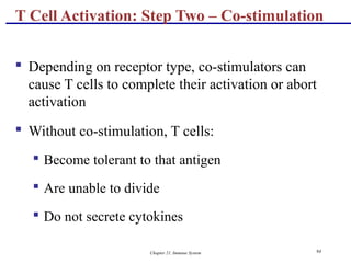 Chapter 21, Immune System 94
 Depending on receptor type, co-stimulators can
cause T cells to complete their activation or abort
activation
 Without co-stimulation, T cells:
 Become tolerant to that antigen
 Are unable to divide
 Do not secrete cytokines
T Cell Activation: Step Two – Co-stimulation
 