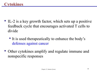Chapter 21, Immune System 98
 IL-2 is a key growth factor, which sets up a positive
feedback cycle that encourages activated T cells to
divide
 It is used therapeutically to enhance the body’s
defenses against cancer
 Other cytokines amplify and regulate immune and
nonspecific responses
Cytokines
 