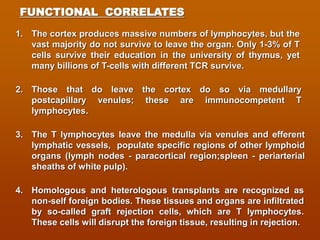 Lymphoid system and immune system histology view | PDF