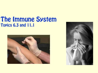 The Immune System
Topics 6.3 and 11.1
 