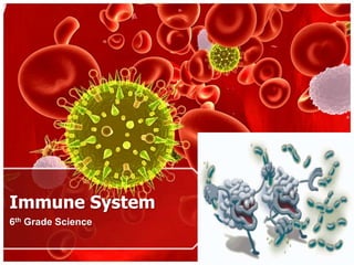 Immune System
6th Grade Science
 