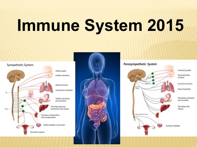 how the immune system works ora exacta co how the immune system works sompayrac