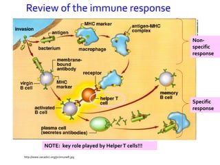 Review of the immune response

                                                            Non-
                                                            specific
                                                            response




                                                            Specific
                                                            response




               NOTE: key role played by Helper T cells!!!
http://www.vacadsci.org/jsr/imuneR.jpg
 