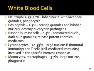    Neutrophils- 55-90% - lobed nuclei with lavender
    granules; phagocytes
   Eosinophils – 1-3% - orange granules and bilobed
    nucleus; destroy eucaryotic pathogens
   Basophils, mast cells – 0.5% - constricted nuclei,
    dark blue granules; release potent chemical
    mediators
   Lymphocytes – 20-35% - large nucleus B (humoral
    immunity) and T cells (cell-mediated immunity)
    involved in the specific immune response
   Monocytes, macrophages – 3-7%- large nucleus;
    phagocytic

                                                         15
 