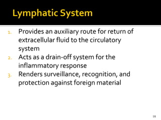 1.   Provides an auxiliary route for return of
     extracellular fluid to the circulatory
     system
2.   Acts as a drain-off system for the
     inflammatory response
3.   Renders surveillance, recognition, and
     protection against foreign material



                                                 18
 