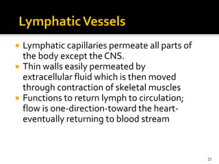   Lymphatic capillaries permeate all parts of
    the body except the CNS.
   Thin walls easily permeated by
    extracellular fluid which is then moved
    through contraction of skeletal muscles
   Functions to return lymph to circulation;
    flow is one-direction-toward the heart-
    eventually returning to blood stream


                                                  21
 