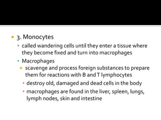    3. Monocytes
     called wandering cells until they enter a tissue where
      they become fixed and turn into macrophages
     Macrophages
      scavenge and process foreign substances to prepare
       them for reactions with B and T lymphocytes
      ▪ destroy old, damaged and dead cells in the body
      ▪ macrophages are found in the liver, spleen, lungs,
        lymph nodes, skin and intestine
 