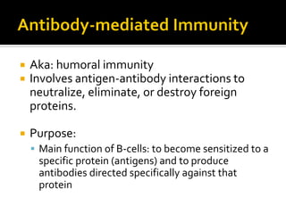    Aka: humoral immunity
   Involves antigen-antibody interactions to
    neutralize, eliminate, or destroy foreign
    proteins.

   Purpose:
     Main function of B-cells: to become sensitized to a
     specific protein (antigens) and to produce
     antibodies directed specifically against that
     protein
 