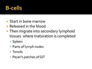    Start in bone marrow
   Released in the blood
   Then migrate into secondary lymphoid
    tissues where maturation is completed
     Spleen
     Parts of lymph nodes
     Tonsils
     Peyer’s patches of GIT
 