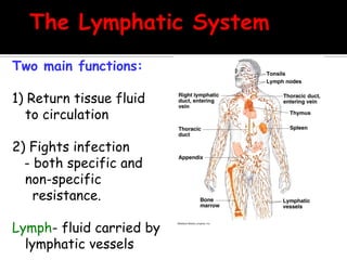 Two main functions:

1) Return tissue fluid
  to circulation

2) Fights infection
  - both specific and
  non-specific
    resistance.

Lymph- fluid carried by
  lymphatic vessels
 