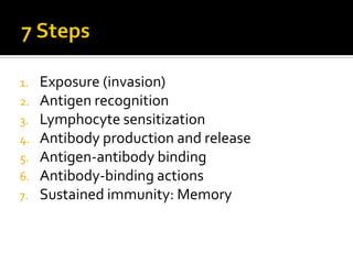 1.   Exposure (invasion)
2.   Antigen recognition
3.   Lymphocyte sensitization
4.   Antibody production and release
5.   Antigen-antibody binding
6.   Antibody-binding actions
7.   Sustained immunity: Memory
 