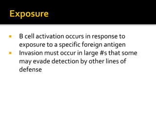    B cell activation occurs in response to
    exposure to a specific foreign antigen
   Invasion must occur in large #s that some
    may evade detection by other lines of
    defense
 