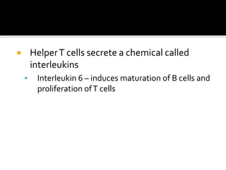        Helper T cells secrete a chemical called
        interleukins
        Interleukin 6 – induces maturation of B cells and
         proliferation of T cells
 