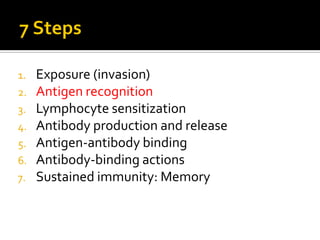 1.   Exposure (invasion)
2.   Antigen recognition
3.   Lymphocyte sensitization
4.   Antibody production and release
5.   Antigen-antibody binding
6.   Antibody-binding actions
7.   Sustained immunity: Memory
 