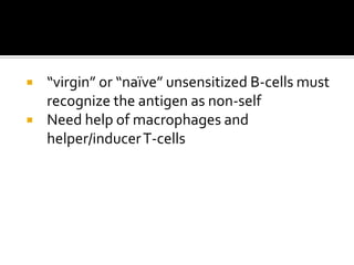    “virgin” or “naïve” unsensitized B-cells must
    recognize the antigen as non-self
   Need help of macrophages and
    helper/inducer T-cells
 